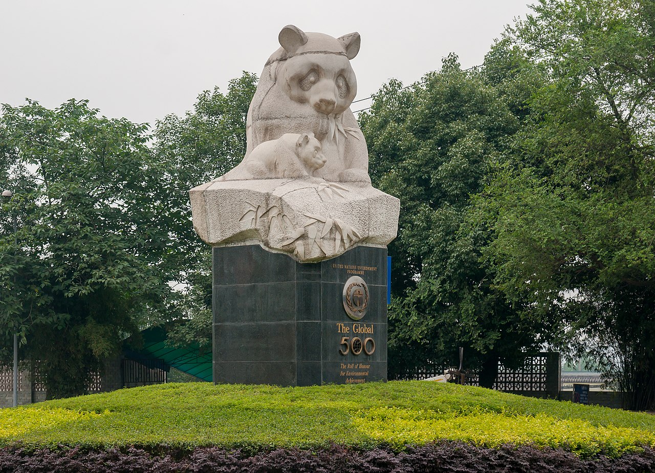 Giant panda at Chengdu Research Base