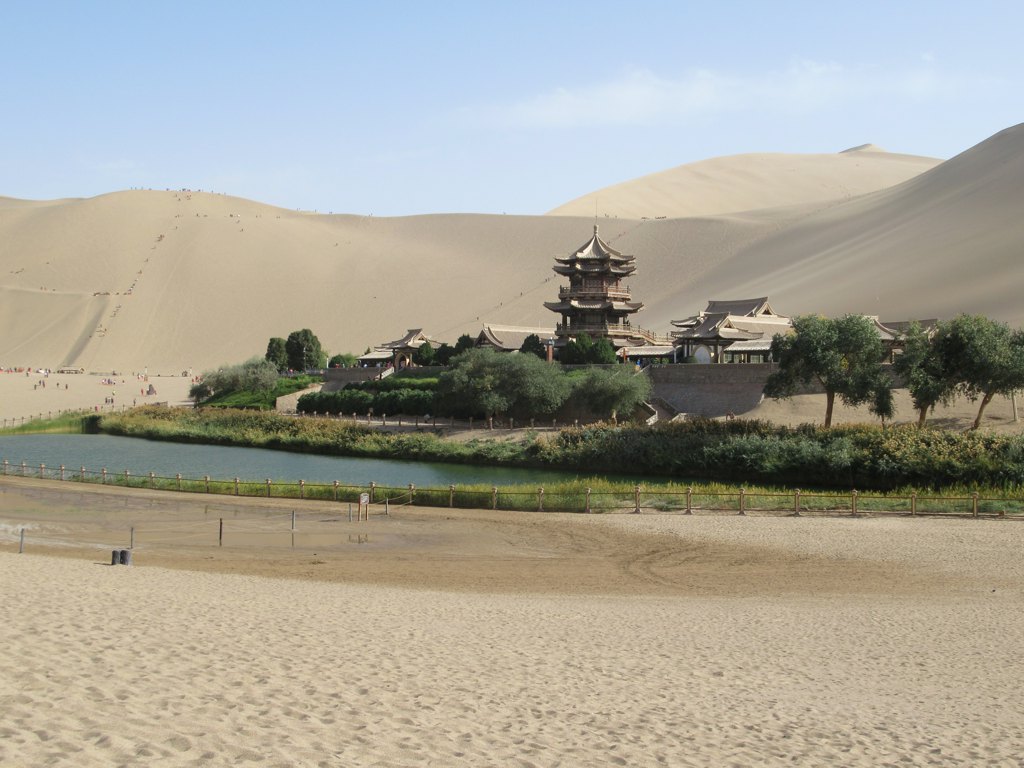 Camels at Singing Sand Dunes Dunhuang