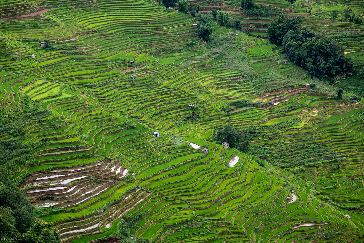 Honghe Hani rice terraces in Yunnan